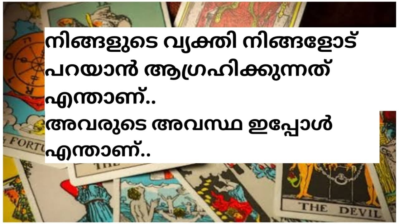 അവരുടെ അവസ്ഥ ഇപ്പോൾ എന്താണ്...🥰🧚