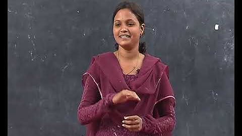 Integrating Language Skills_C8L5