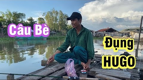 Đi câu bè trên Sông TIỀN đụng phải HUGO | Trải Nghiệm Tổng Hợp.