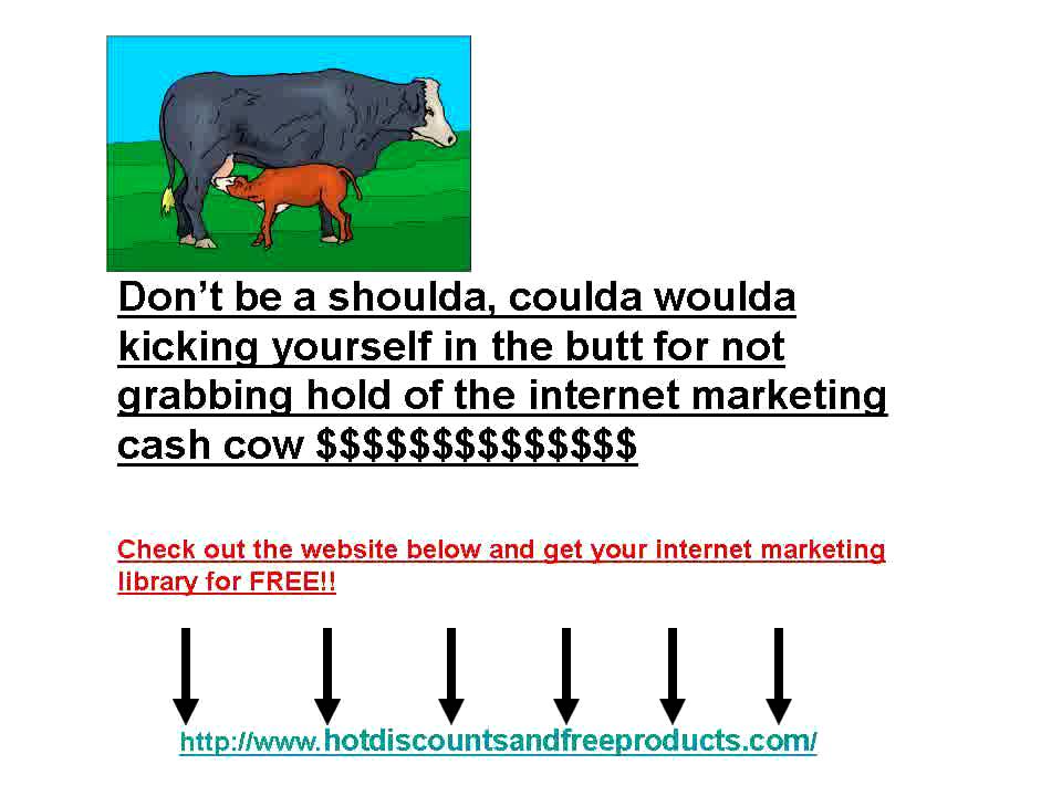 denver internet marketinginternet marketing program