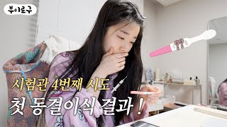 VLOG 직장 다니면서 시험관 재도전💉전원고민,착상증상,임테기 5개 결과는?✨