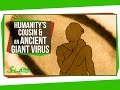 Humanity's New Cousin & An Ancient Giant Virus