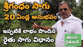 శ్రీగంధం సాగు అనుభవాలు | Successful Farmer Sandalwood Cultivation Tips | Telugu RythuBadi