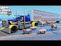 Trucks Hauling Live Animals With New Cattle Trailer In GTA 5