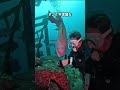 この男は素晴らしい海の生き物を見つけました ❤️