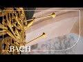 Miniature de la vidéo de la chanson Erbarm Dich Mein, O Herre Gott, Bwv 721