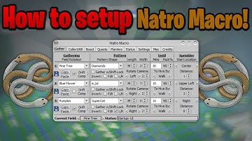 How to install and setup Natro Macro! *2025* | Roblox Bee Swarm Simulator