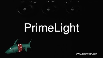 Salamifish PrimeLight dctl demo