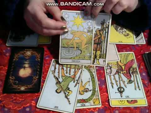 скорпион кот таро. карты таро скорпион февраль 2024. скорпион знак зодиака таро. карты таро скорпион февраль 2024. карты таро скорпион февраль 2024.