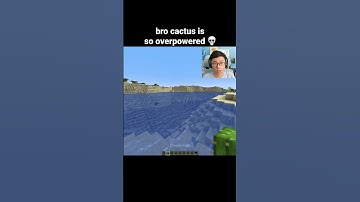 Minecraft Cactus Moment