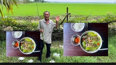 Lần thứ hai trở lại đồng số 7 câu cá rô thật là hy hữu bất ngờ quá cå nhà ơi 