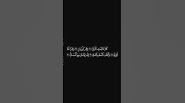 الشيخ #احمد_النفيس #سورة_القيامة