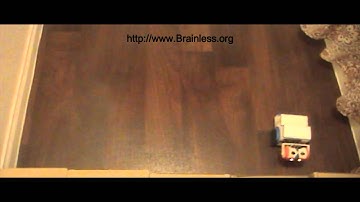 PING Head BOE-Bot Sensor Test-1b