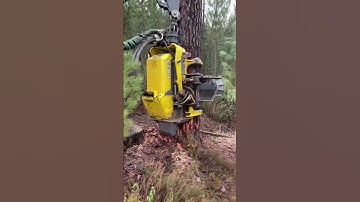 Procesadora 1270 g #madera #forest #woodworking #harvest #forester #harvesting #forestry #harvester