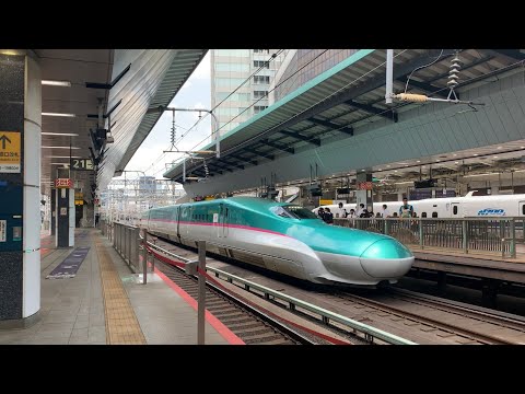 東北新幹線 東京駅 E5系はやぶさ+e6系こまち