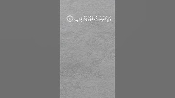 الَّذِي خَلَقَنِي فَهو يَهْدِينِ|#أحمد_خضر|#القرآن_الكريم|#سورة_الشعراء