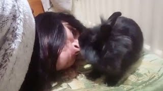 lionhead rabbit age 3 months by Binky Bunny's Way 188 views 3 months ago 8 minutes, 16 seconds