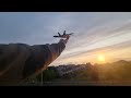 Rc plane flying pt 181