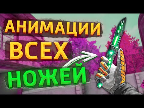 АНИМАЦИЯ ВСЕХ ВИДОВ
