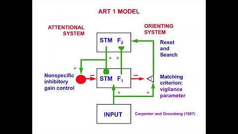 Stephen Grossberg: Serial Order in Behavior