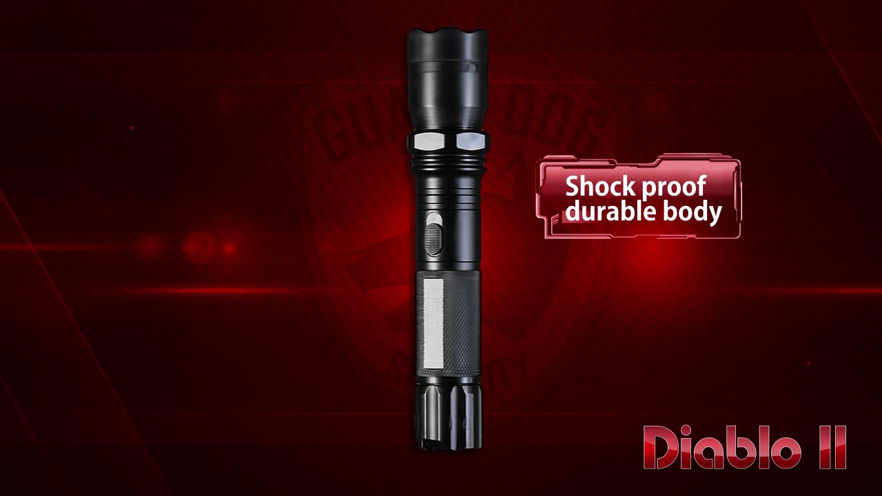 Diablo II Stun Gun/Flashlight 320Lumen 5,000,000V YouTube