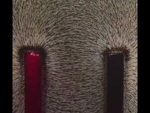 شكل المجال المغناطيسي بين أقطاب المغناطيس