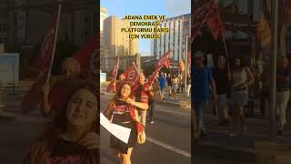 Adana Labor and Democracy Platform Components in Areas for Peace