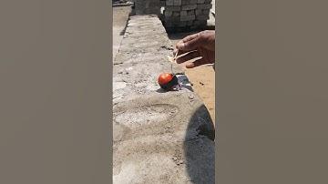 2 bijli crackers vs tomato experiment #shorts #m4tech