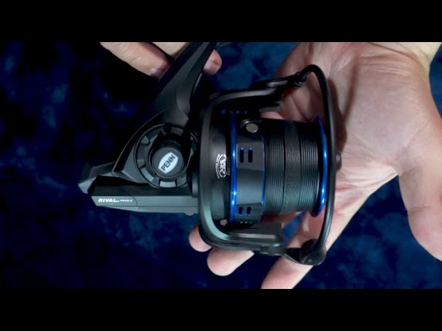 Penn Rival Gold Spinning Reel 6000, Cabral Outdoors