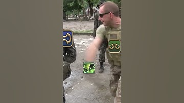 Scholar gameplay in Nutshell (FFXIV)