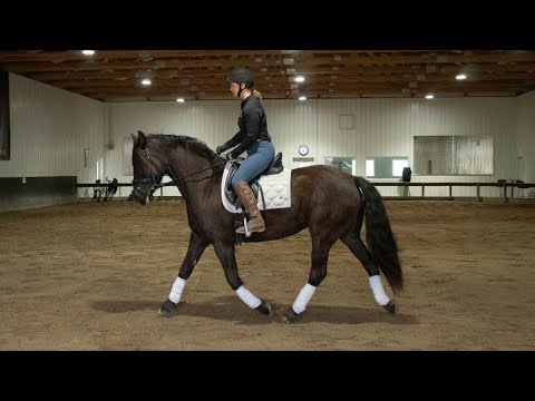 Brook Pro rider - YouTube