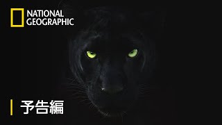 ブラック・パンサー - 予告編 | ナショジオ