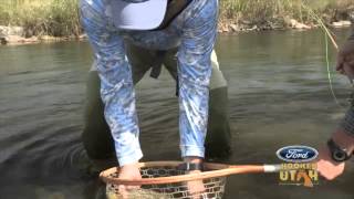Brown Trout & Bamboo Fly Rods