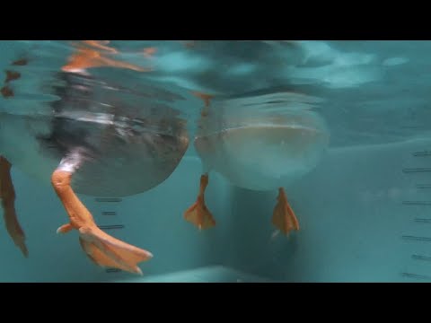 RyuzoArts - YouTube