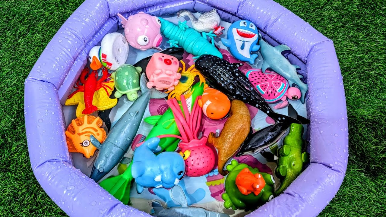 Learn Ocean Creatures for Toddlers and Preschoolers | Sea Animals Names Fun & Easy