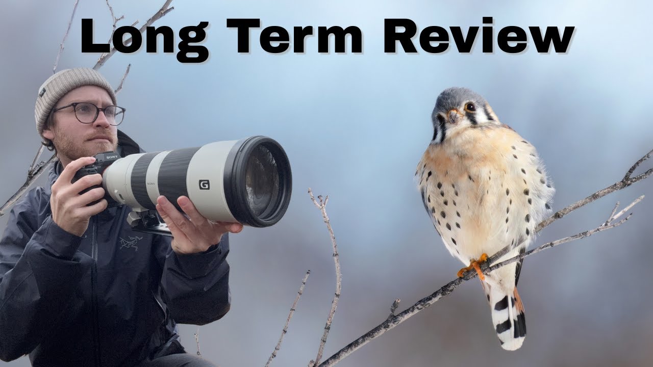 Стоит ли покупать объектив Sony 200-600 G OSS?