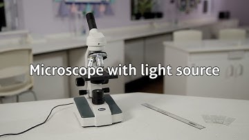 Pearson Edexcel (9-1) SHORTS | Looking at Cells | GCSE Combined Sci | GCSE Biology