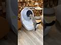 Catlink self cleaning cat litter box #catlink #automaticlitterbox #ailitterbox #cat #catlitterbox