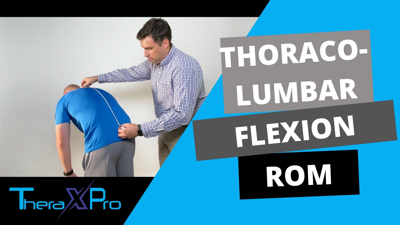 Goniometry thoraco lumbar flexion range of motion youtube