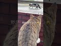 楽しい休日を❤️