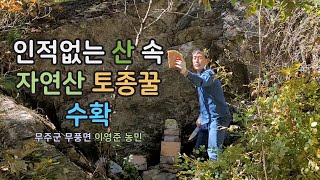 이 토종꿀은 자연의 선물 그 자체입니다