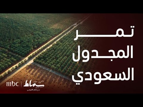 سماط تمر المجدول السعودي