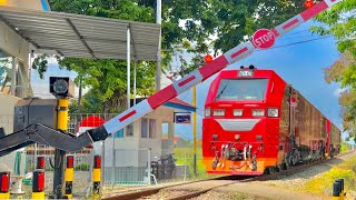 MOMEN LANGKA! Perlintasan Unik KA Kepel Kota Pasuruan, Jawa Timur
