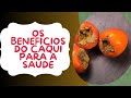 Vdeo10benefcios do caqui  sade mogi das cruzes  uma das maiores produtores de caqui do brasil