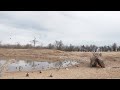 Wildlifers TV | "Oklahoma Duck Tour"