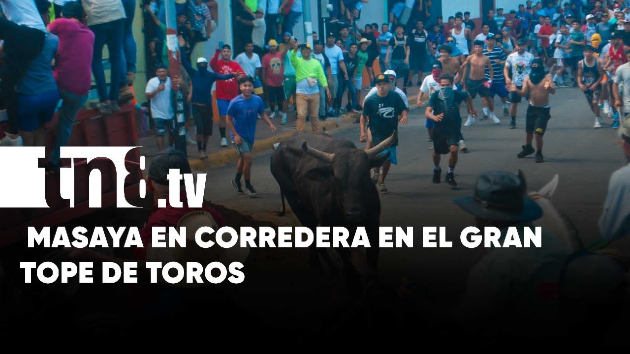 Tradición y cultura: Masaya en corredera en el gran tope de toros