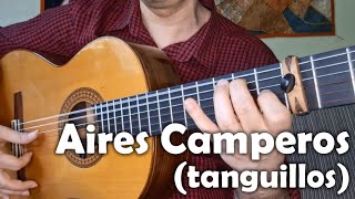 PDF Sample Aires Camperos - flamenco guitar by Eugen Sedko Score guitar tab & chords by Sedko Arrangements.