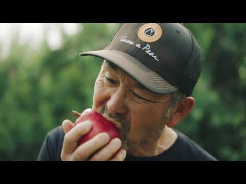 Video: Starkrimson Pear Info: Growing Starkrimson Pears In The Landscape