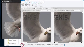 Araxis Merge 変更点を分かりやすく表示できるイメージ比較機能