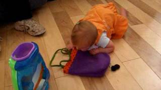 Lily Crawling 2